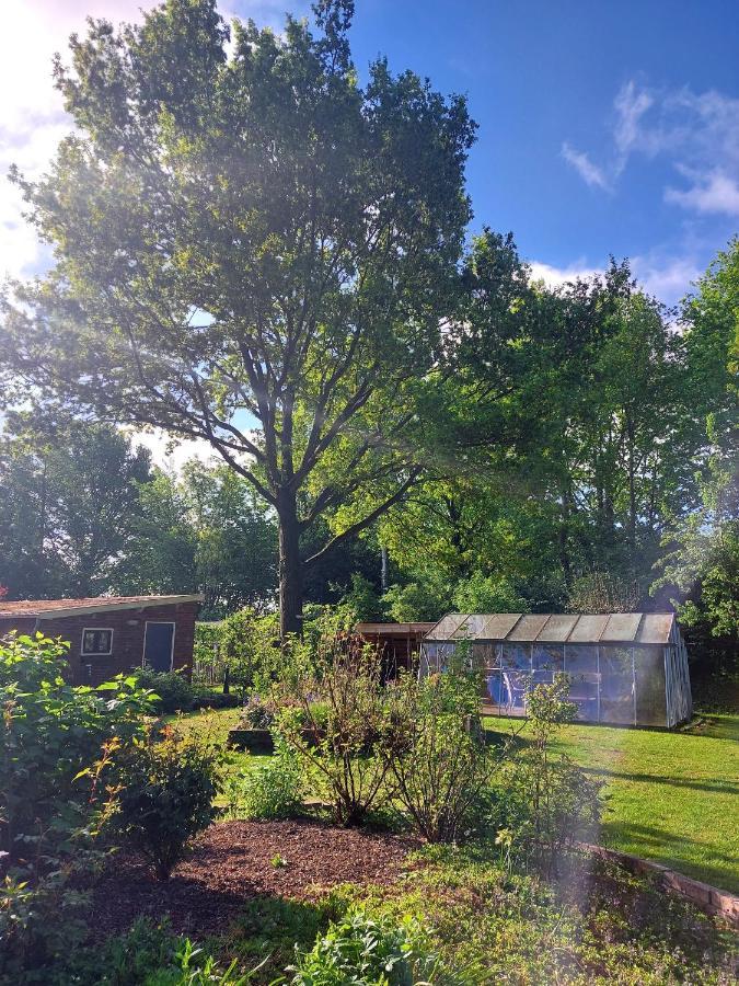 Slaaphuisjes Op Wielen Buitenwedde Westerwolde エクステリア 写真