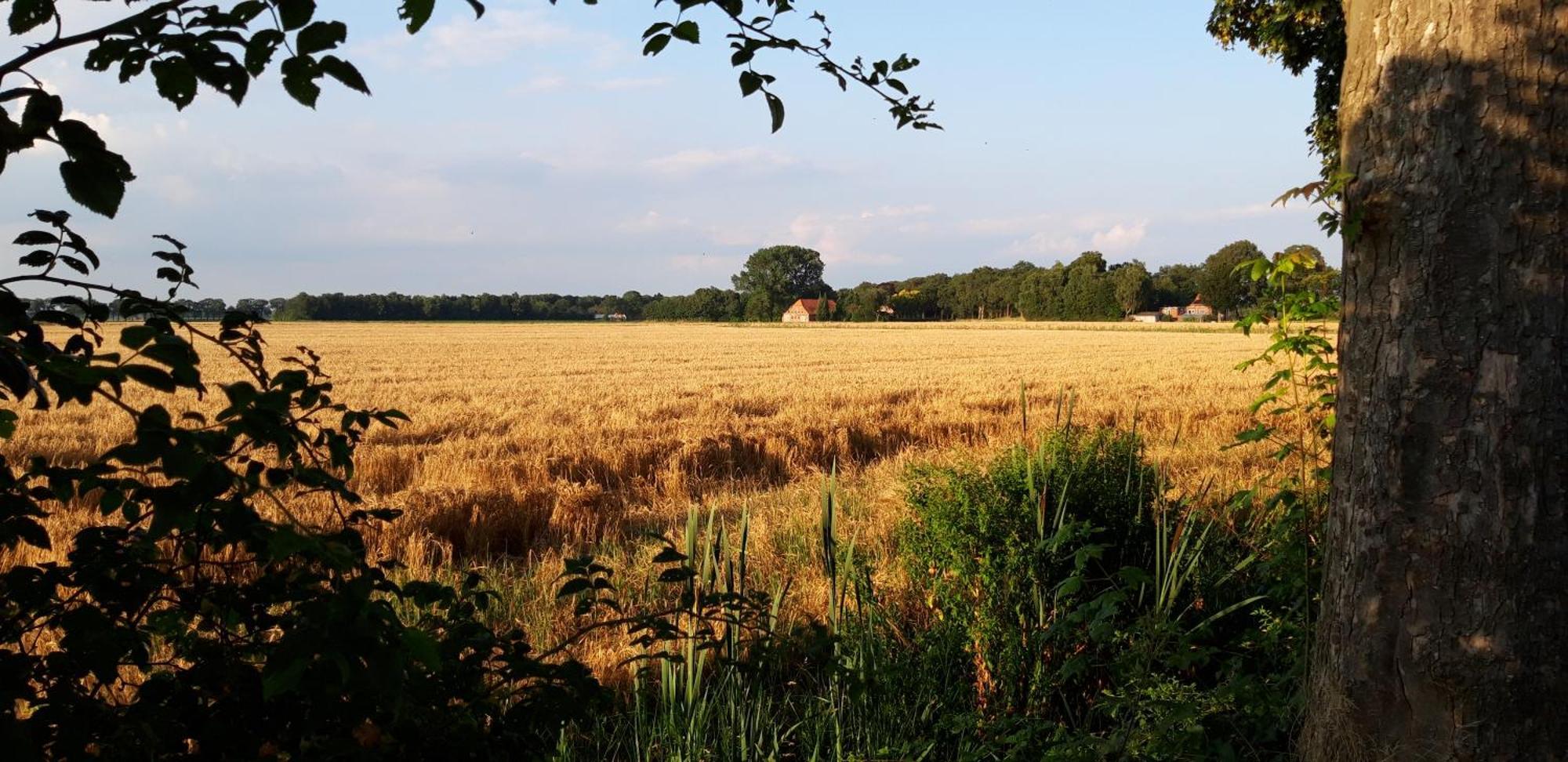 Slaaphuisjes Op Wielen Buitenwedde Westerwolde エクステリア 写真